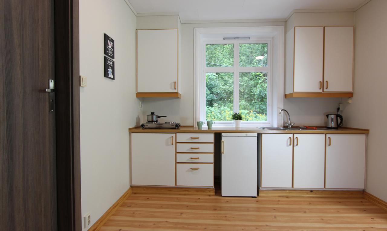 Slottet Apartments ティッサダル エクステリア 写真